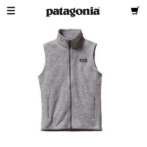 Patagonia Better Sweater Fleece Vest
